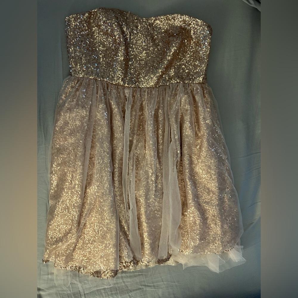 Torrid Champagne Sequin Dress